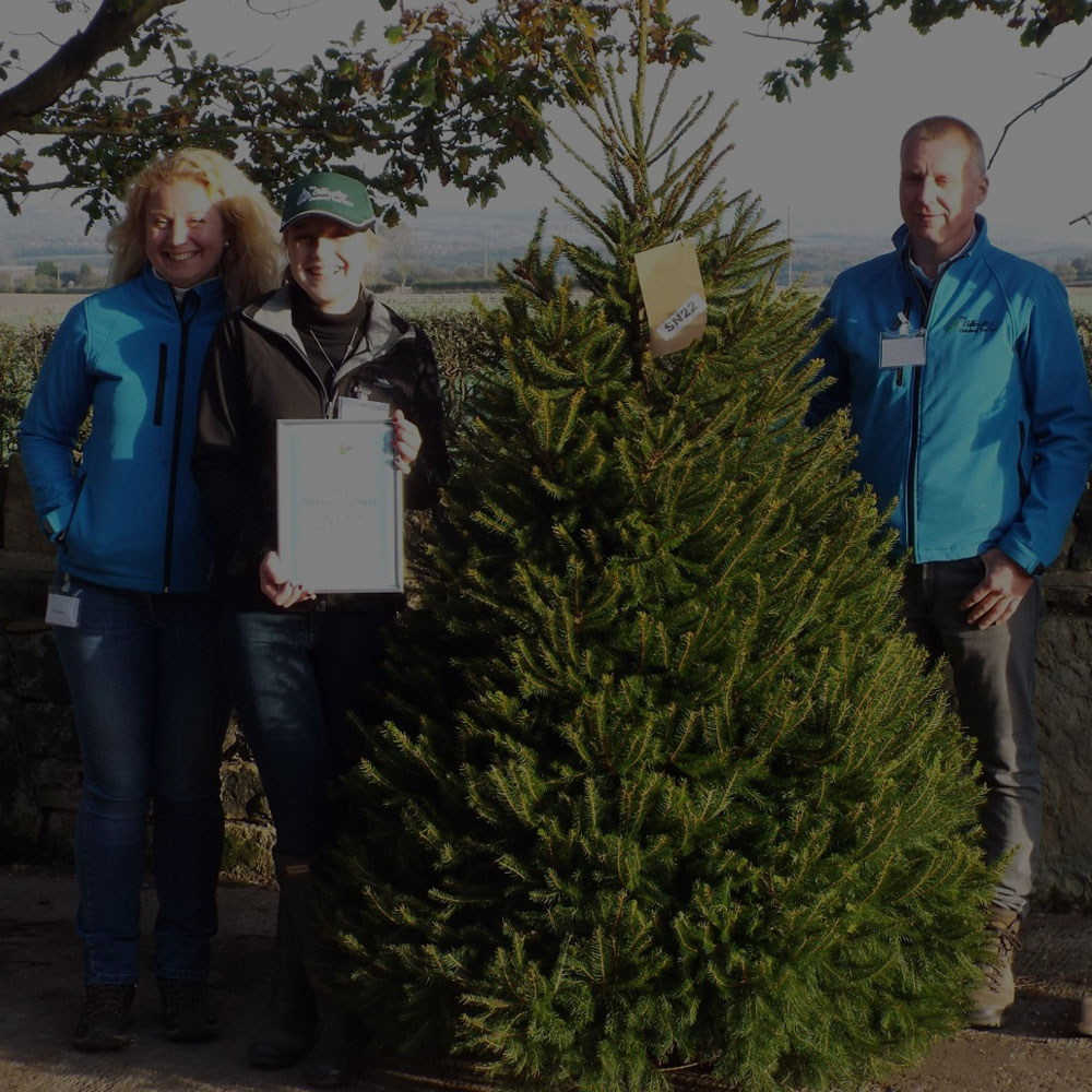 Growing Real Christmas Trees Since 2004