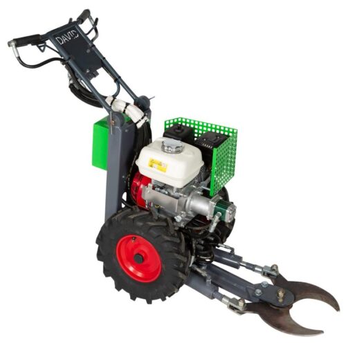 david tree cutter