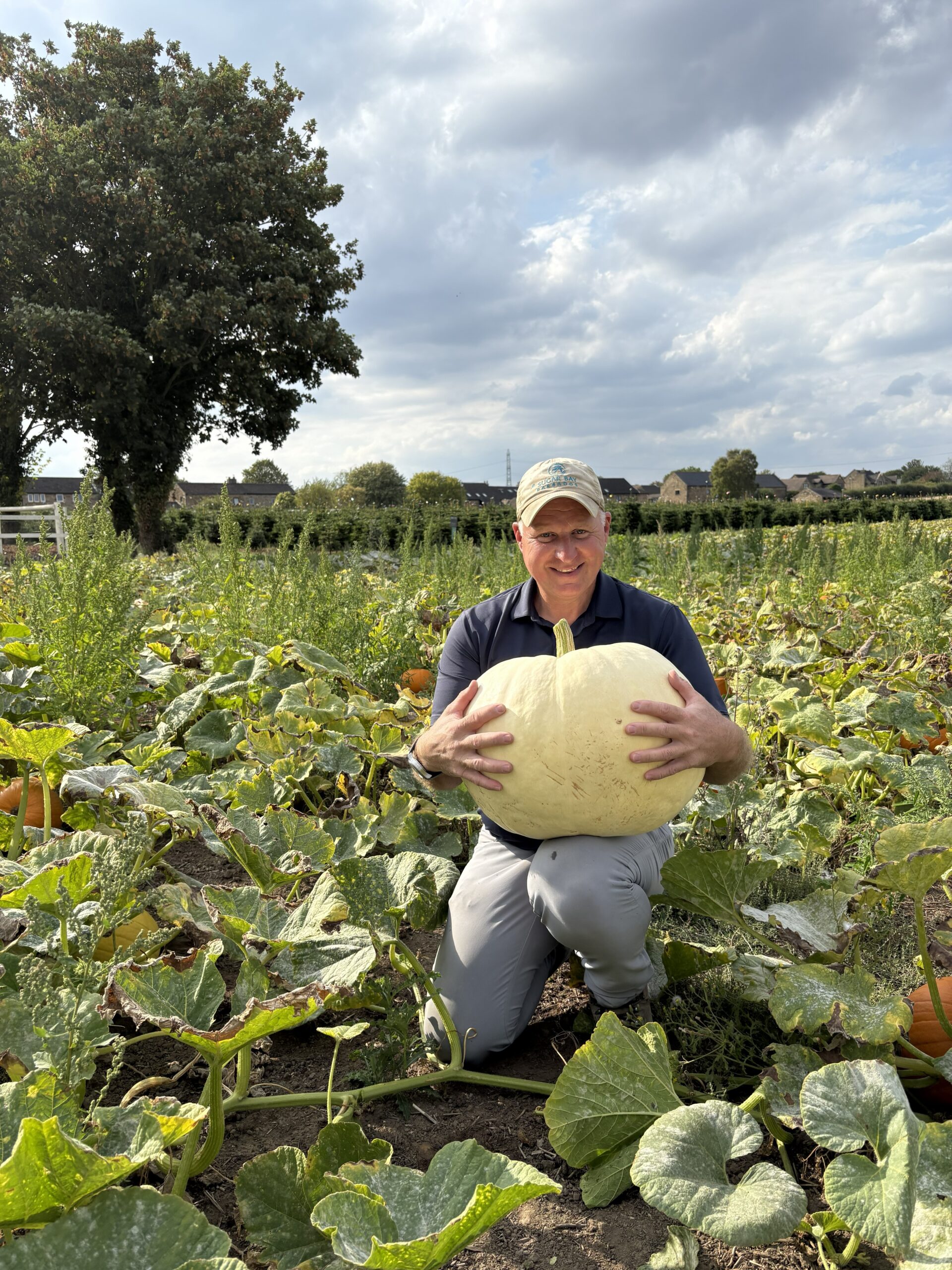 Large Pumpkin